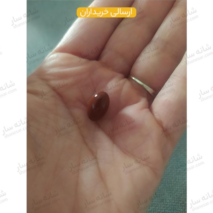 قرص فیتو شانه سار
