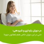 قرص پریورین
