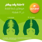 قرص پریورین اورجینال