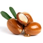 شامپو ضد ریزش بیوکسین حاوی آرگان و کراتین Bioxcin Argan+Keratin اصل ترکیه