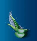 لوسیون بدن وازلین سبز آلوئه ورا Vaseline Aloe Soothe اصل